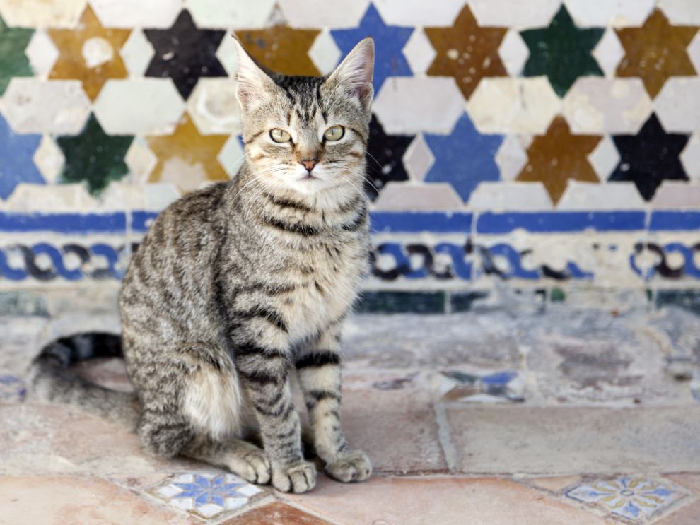 Jewish quarter of Seville